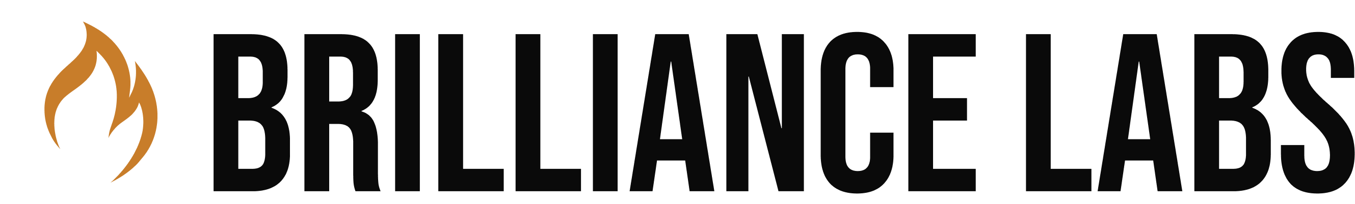Brilliance Labs